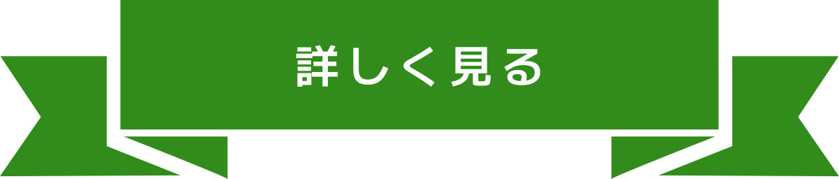 詳しく見る